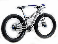 black sheep phat bike